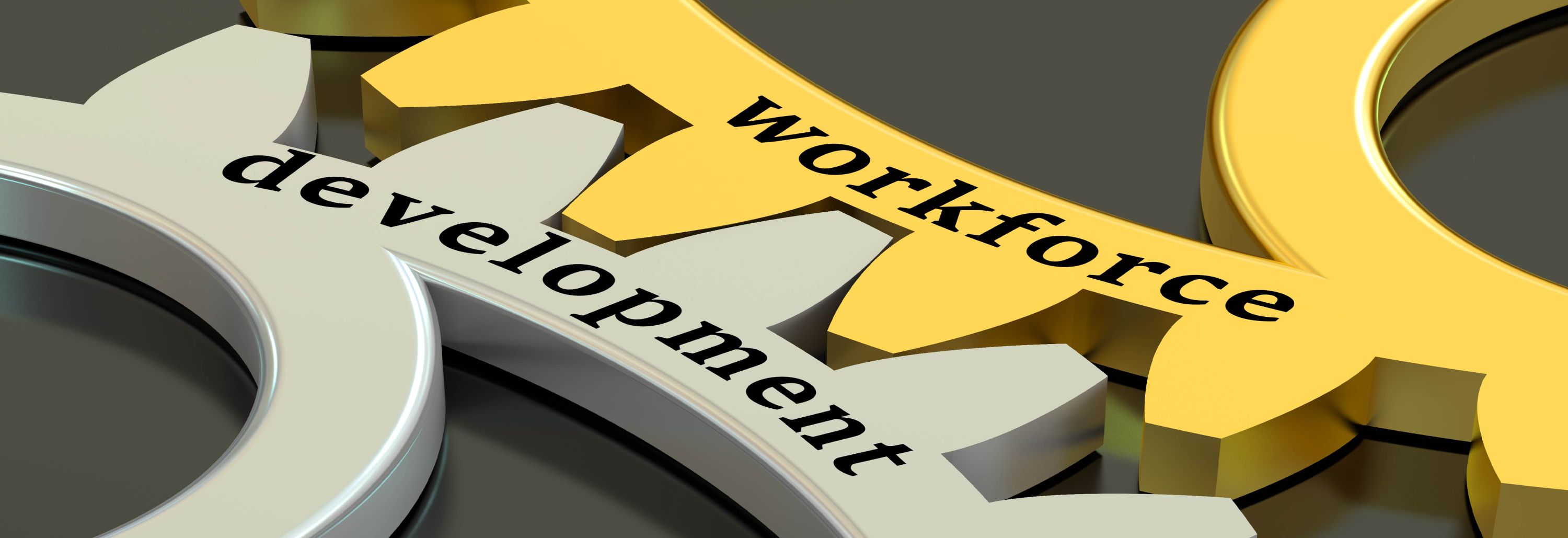 Click to open Carlsbad Workforce Data
